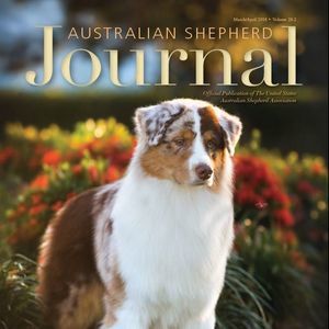 Meet your Posher, Ellen